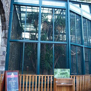 Spix's macaw aviary, 2019-10-04