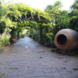 Mediterranean gardens and access road to the Oasis greenhouse, 2019-10-04