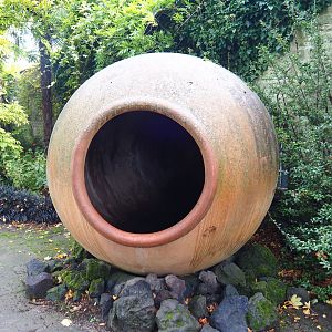 Giant vase, 2019-10-04