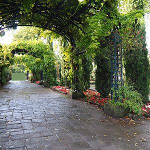 Mediterranean gardens and access road to the Oasis greenhouse, 2019-10-04
