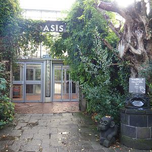 Entrance to the Oasis greenhouse, 2019-10-04