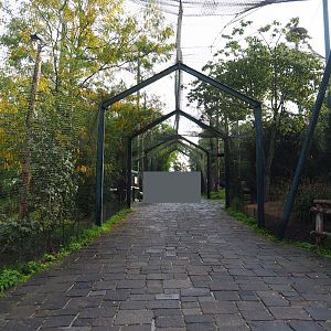 Pathway underneath raptor aviaries, 2019-10-04