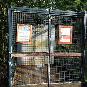 Access to walk-through raptor and vulture aviary, 2019-10-04
