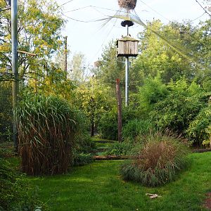 Walk-through raptor and vulture aviary, 2019-10-04