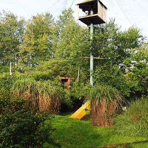 Walk-through raptor and vulture aviary, 2019-10-04