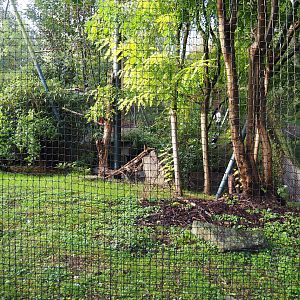 African fish eagle aviary, 2019-10-04