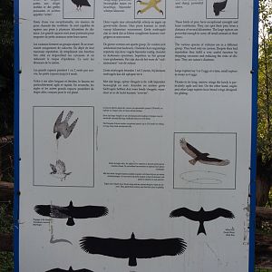 Education sign about raptors, 2019-10-04