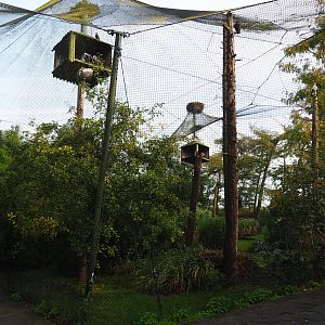 Walk-through raptor and vulture aviary, 2019-10-04