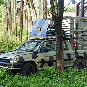 Themed vehicle with bear cage, 2019-10-04