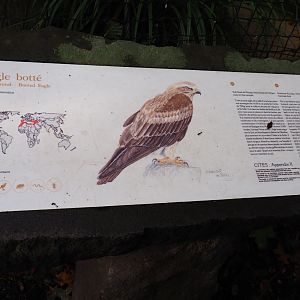 Signage example - Booted eagle sign, 2019-10-04