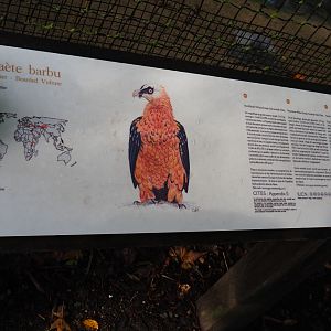 Signage example - Bearded vulture sign, 2019-10-04