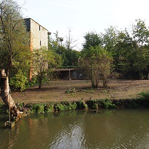 Brazilian tapir, Capybara and Giant anteater exhibit, 2019-10-04