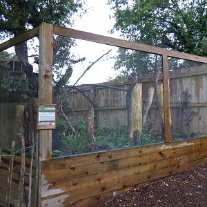 South American aviary