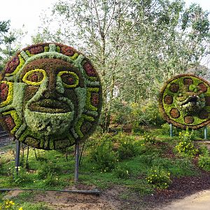 Strange topiary faces, 2019-10-04