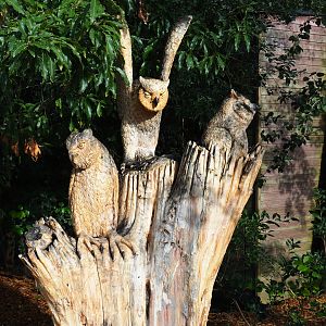The Last Frontier theming - Owls wood carving, 2019-10-04