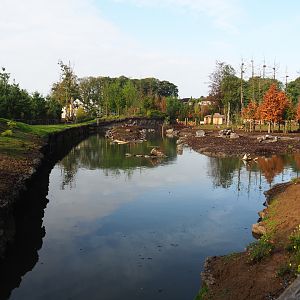 The Last Frontier - Eurasian moose and Wapiti exhibit, 2019-10-04