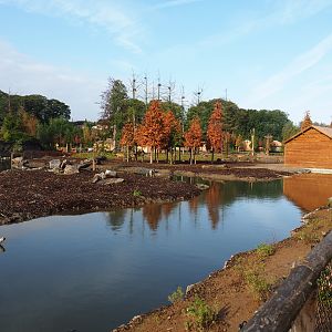 The Last Frontier - Eurasian moose and Wapiti exhibit, 2019-10-04