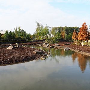 The Last Frontier - Eurasian moose and Wapiti exhibit, 2019-10-04