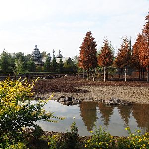 The Last Frontier - Eurasian moose and Wapiti exhibit, 2019-10-04