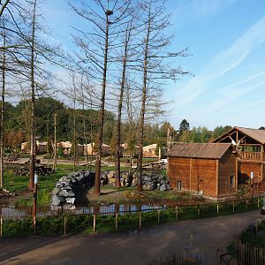 The Last Frontier  - Eurasian brown bear and American black bear exhibit, 2019-10-04