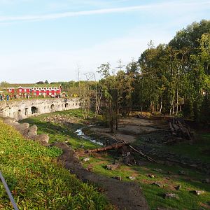 The Last Frontier - Eurasian brown bear and Eurasian grey wolf exhibit, 2019-10-04