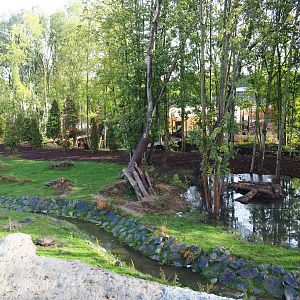 The Last Frontier - Eurasian brown bear and Eurasian grey wolf exhibit, 2019-10-04