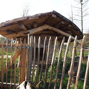 The Last Frontier - First chicken coop, 2019-10-04