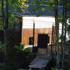 Eurasian brown bear and Eurasian grey wolf holding building, 2019-10-04