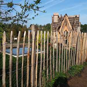 The Last Frontier - Second chicken pen, 2019-10-04