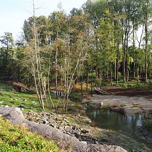 The Last Frontier - Eurasian brown bear and Eurasian grey wolf exhibit, 2019-10-04