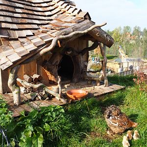 The Last Frontier - Third chicken coop, 2019-10-04