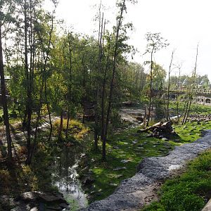 The Last Frontier - Eurasian brown bear and Eurasian grey wolf exhibit, 2019-10-04