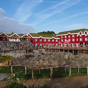 The Last Frontier - Steller's sea lion exhibit and The Paddling Bear hotel, 2019-10-04