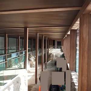 The Last Frontier - Steller's sea lion underwater viewing area, 2019-10-04