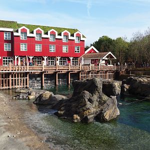 The Last Frontier - Steller's sea lion exhibit and The Paddling Bear hotel, 2019-10-04