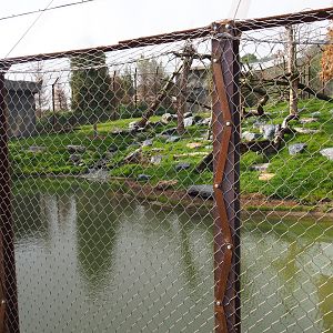 The Last Frontier - Mountain lion exhibit, 2019-10-04