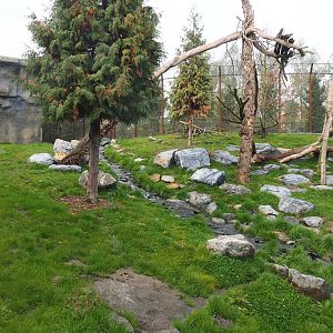 The Last Frontier - Mountain lion exhibit, 2019-10-04
