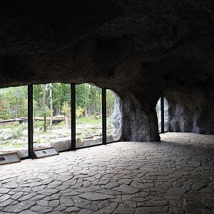 The Last Frontier - Eurasian brown bear and Eurasian wolf viewing cave, 2019-10-04
