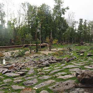 The Last Frontier - Eurasian brown bear and Eurasian wolf exhibit seen from viewing cave, 2019-10-04