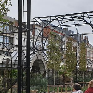 New Parrot aviaries under construction