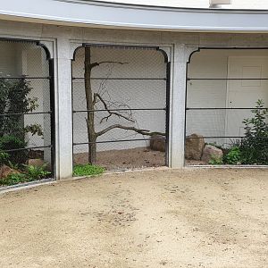 New Parrot-aviaries waiting for the right wire-mesh