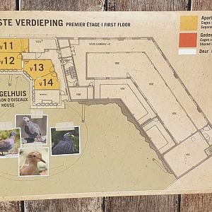 Plan Bird-house in the Buffalo enclosure - First floor