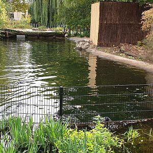 Temporary Seal-enclosure