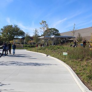 Hamill Family Nature Plaza - Overview