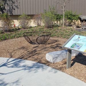 Hamill Family Nature Plaza - Play Area