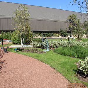 Hamill Family Nature Plaza - Overview (With Free-Ranging Gunieafowl and Peafowl)