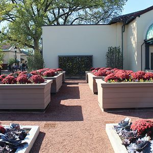 Hamill Family Nature Plaza - Garden