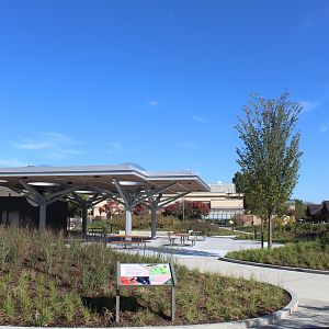Hamill Family Nature Plaza - Overview