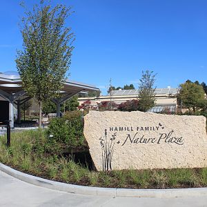 Hamill Family Nature Plaza