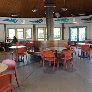 Peacock Cafe & Grill - Indoor Seating Area